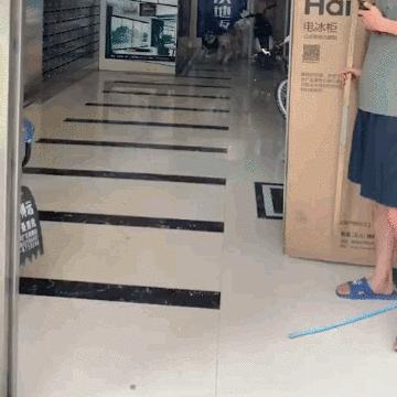 搞笑动图gif熊猫,搞笑动图gif图片哪里下载