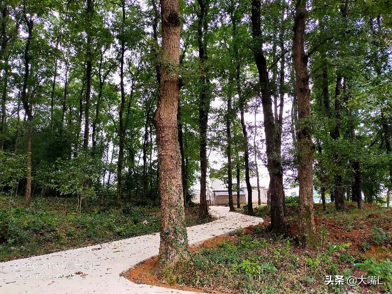 南京去徽州天路自驾游玩攻略,徽州自驾游路线攻略