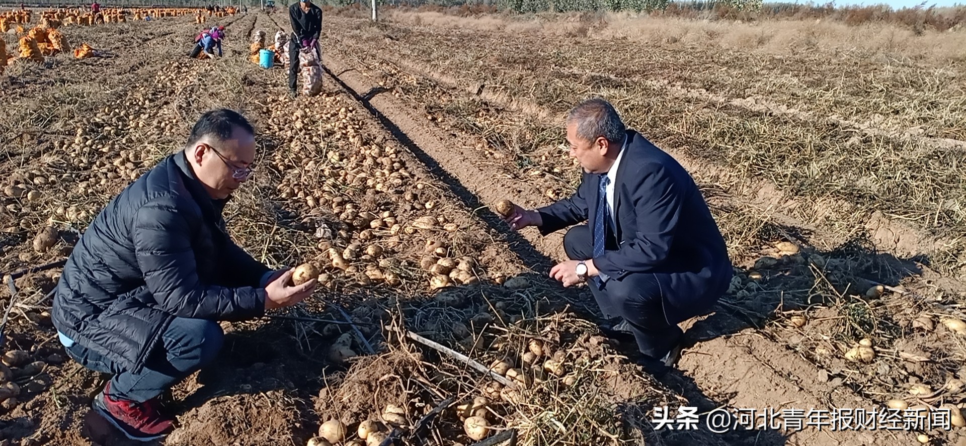 閲戣瀺娲绘按娴囩亴鍒涗笟涔嬭姳,閲戣瀺娲绘按娴囩亴涔℃潙