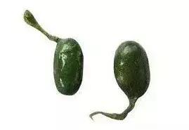 28岁小伙癫痫16年，脑子被虫吃了！竟因爸爸给他吃这个“大补”