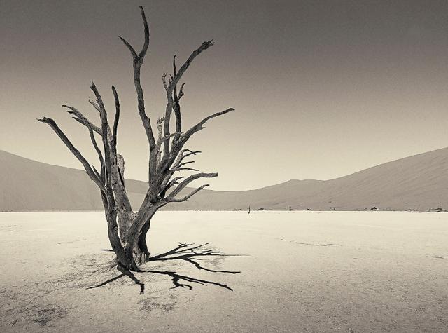 呼兰河传深度解读,解读呼兰河传