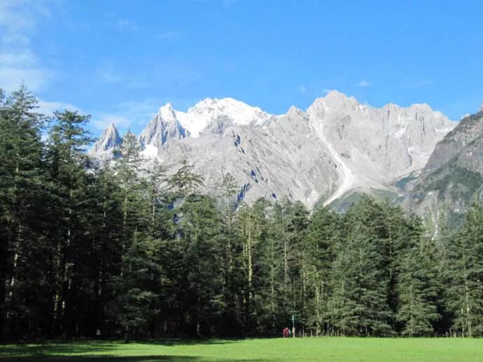 无标题文章解说 (无标题文章解决方法)