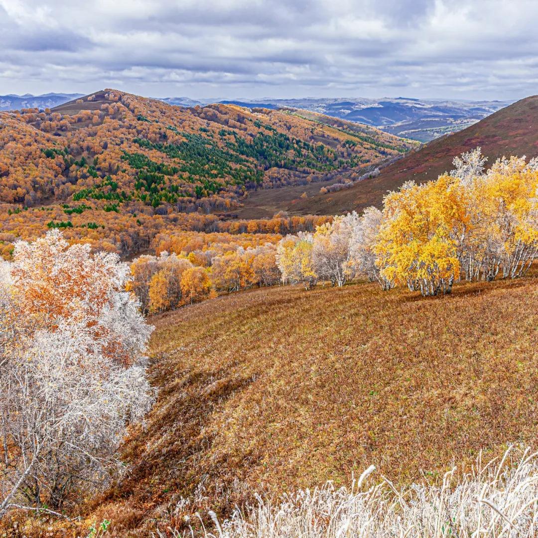 内蒙古赤峰属于东北吗,赤峰东北还是华北