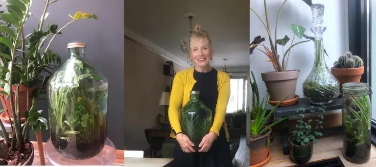 50年间仅浇过一次水的瓶中花园，是造假还是确有其事？