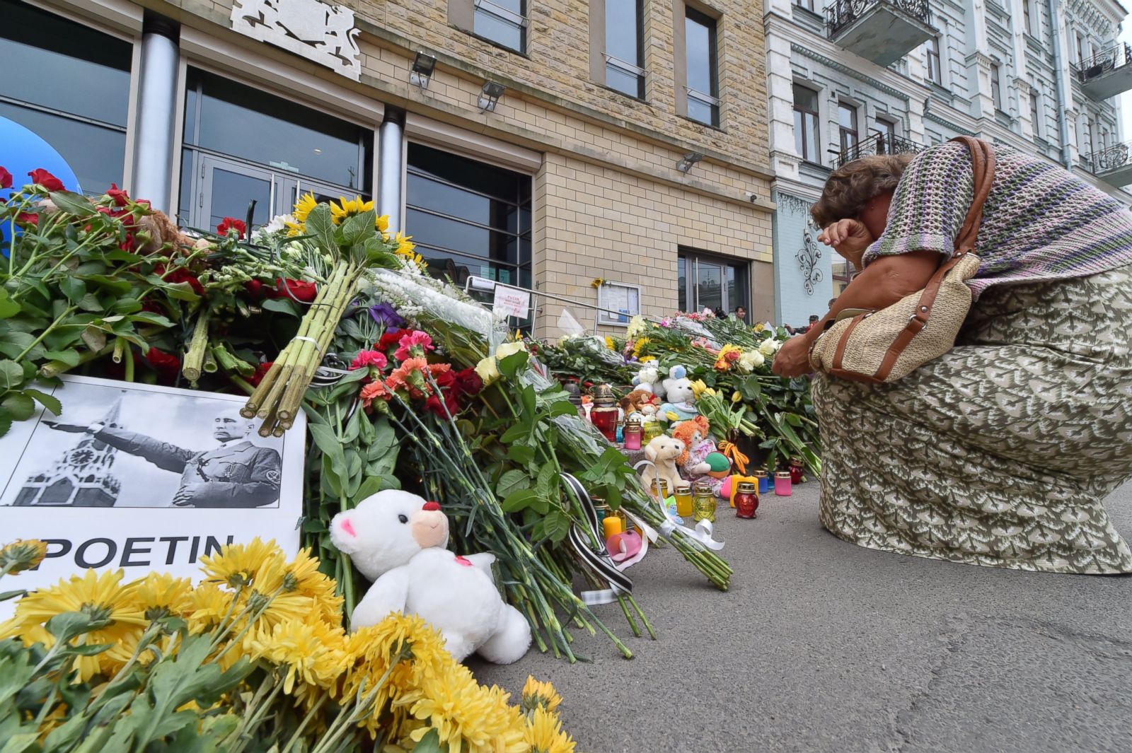 马航mh17空难最近调查,马航mh17坠机事件是怎么回事