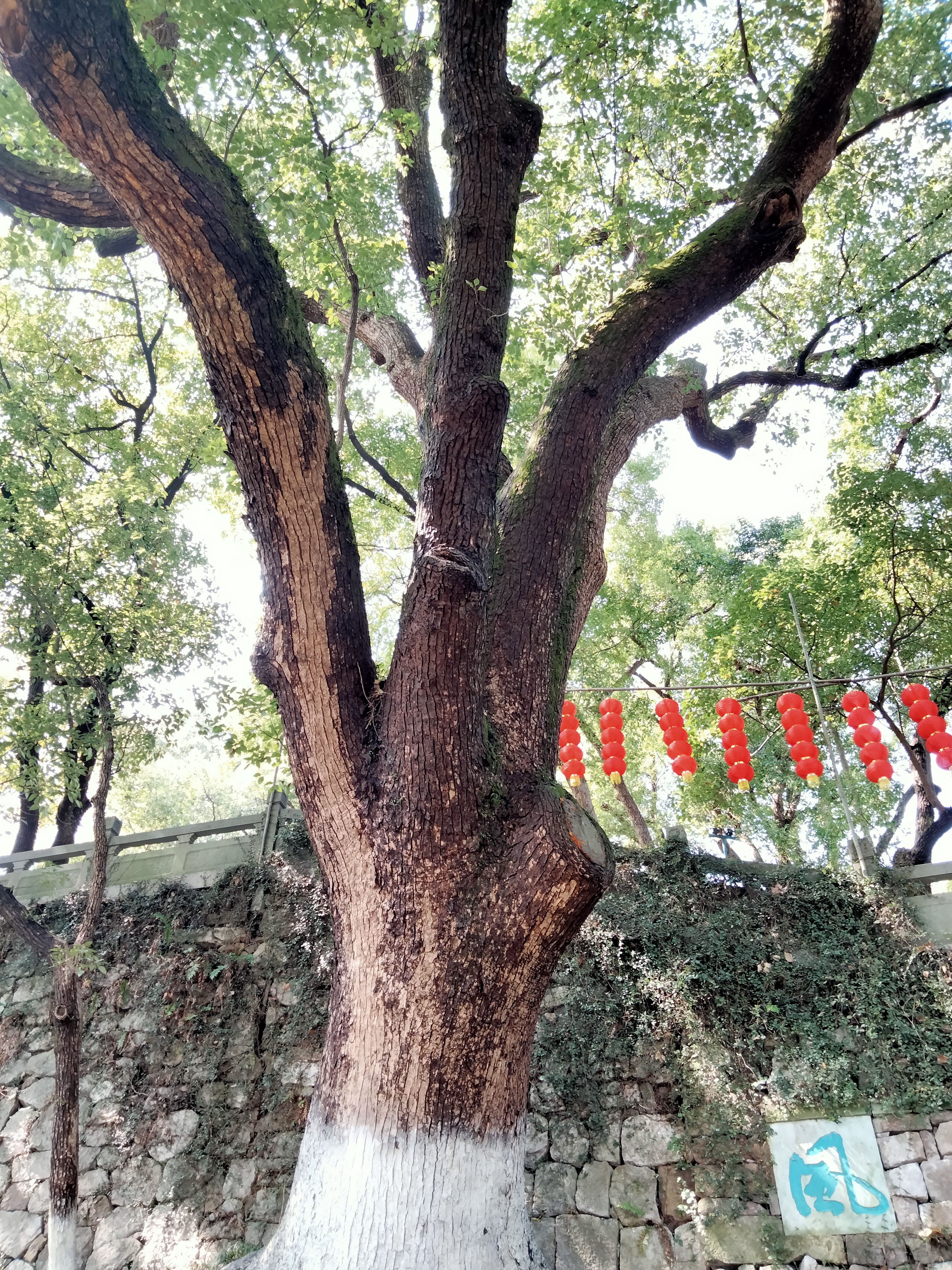 吴山景区好玩吗多少钱,吴山最漂亮的景点