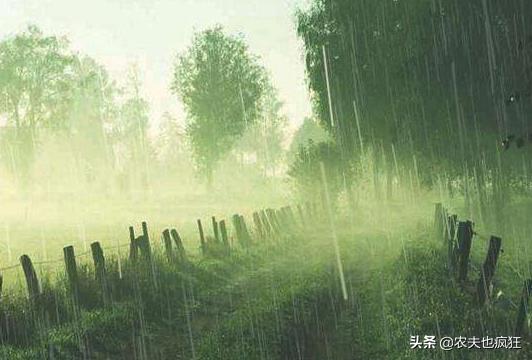 立秋夏已尽秋将至,立秋有雨样样收全文