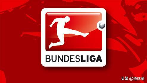 50+1政策有多少球队支持废除,德甲501政策是什么意思