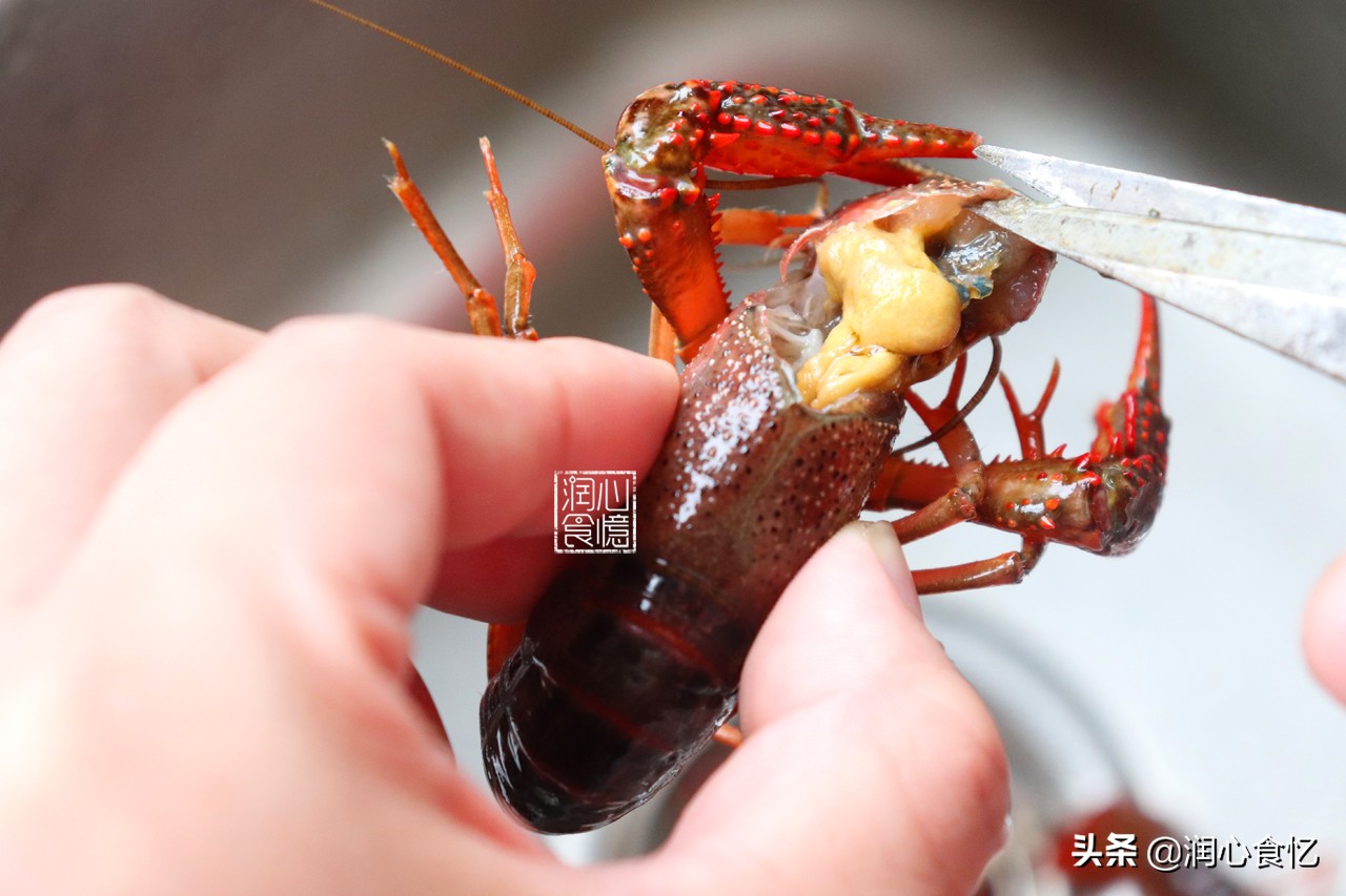 小龙虾怎么样处理才干净,处理小龙虾又快又干净的方法