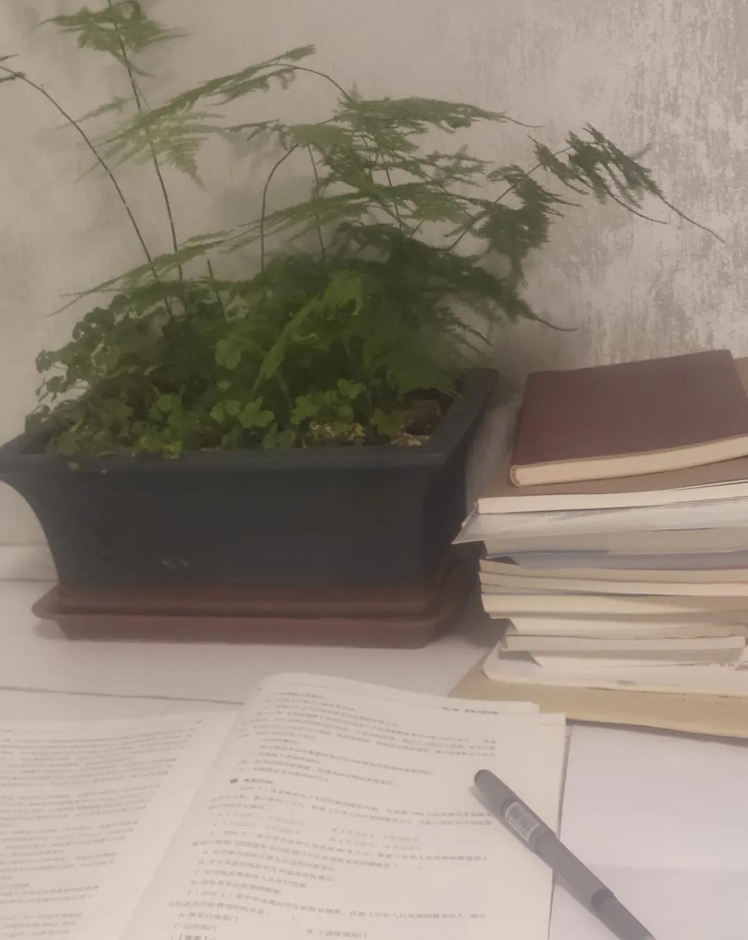 会计生涯前景,会计的生涯理念