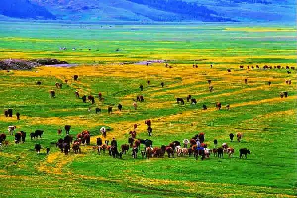 各地水果特产一览表,各地特产礼品一览表