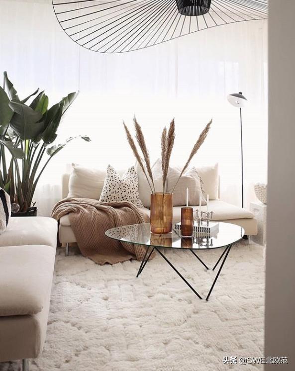 家居地毯清洗,家居雷品的洗白之路