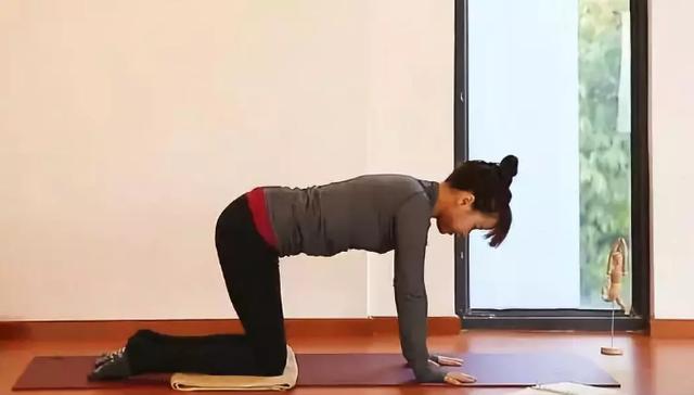 产后耻骨疼用什么瑜伽体式,产后半年修复瑜伽体式