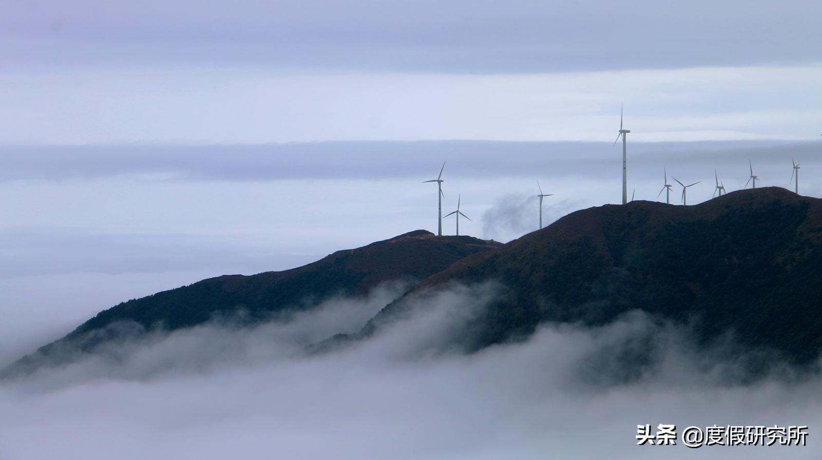 森林和山水,森林公园和森林湖畔
