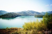 合发全球的近况,合发全球的消息