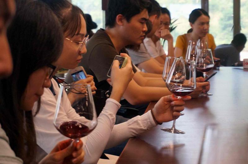 粤港澳大湾区自媒体访韶关：稻花香里说乐昌丰年