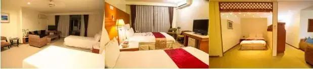 帕劳旅游攻略自由行路线推荐,帕劳旅游攻略全过程