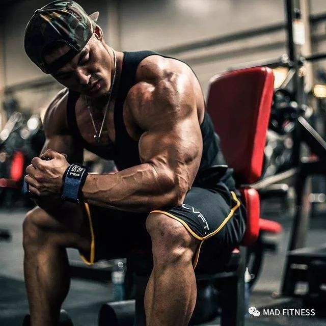 健体之王杰瑞米布恩迪,健身霸王杰瑞米布恩迪亚