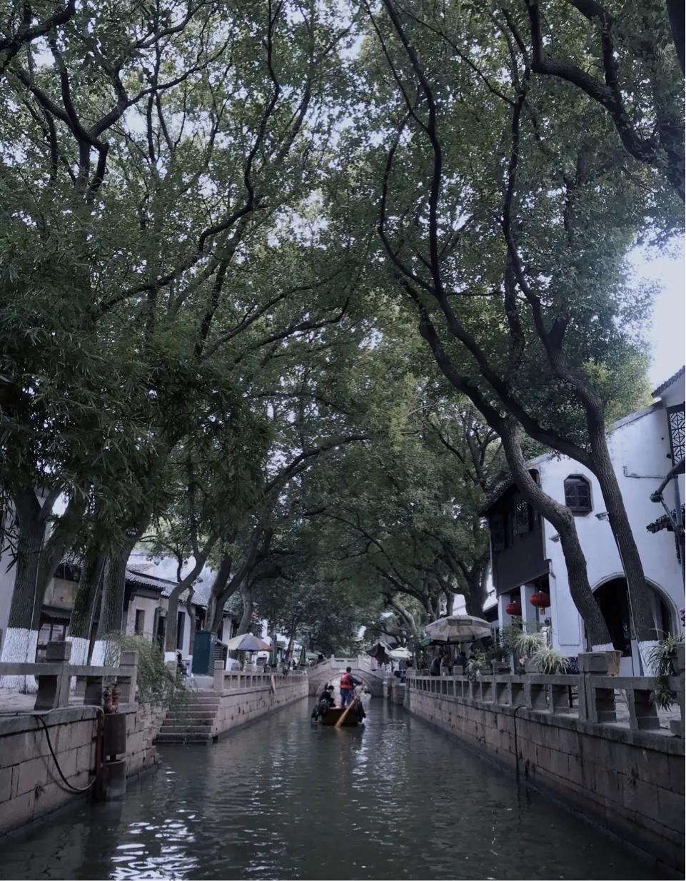 苏州同里两日游,同里古镇一日游作文500字