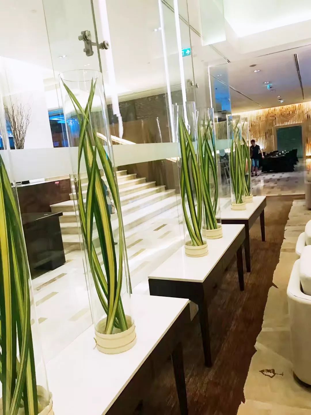 泰国清迈特产水果,泰国清迈的玫瑰