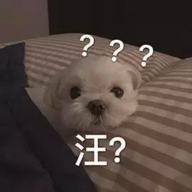 宠物胰腺炎的症状及治疗方法,宠物得了胰腺炎治疗费用