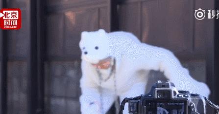 她，82岁，白天捏饺，晚上打碟——乐学无止境，人生才能不设限