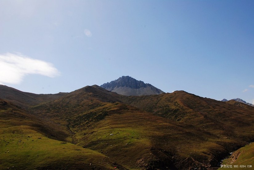 狼c调简谱教唱,狼c