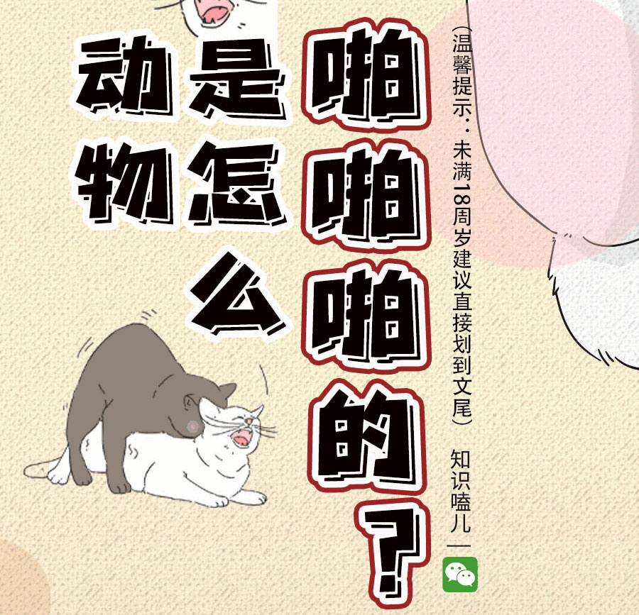 论啪啪啪,人类可比不上它们……