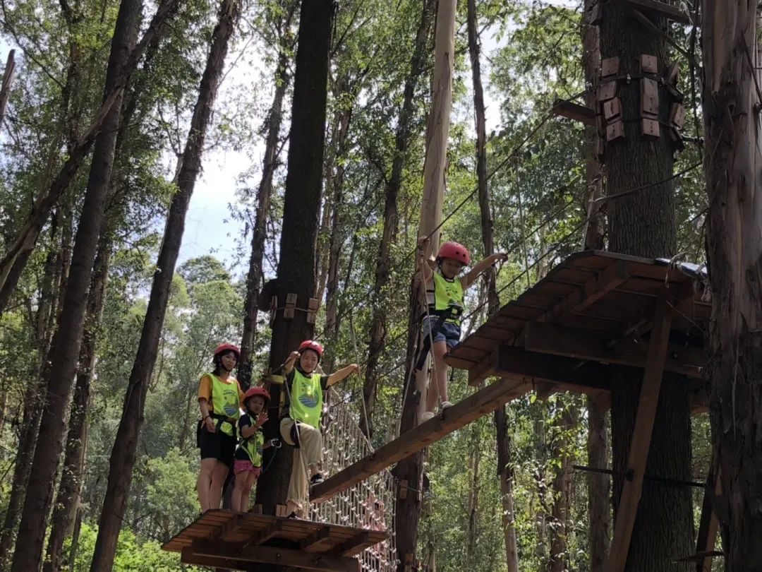 番禺周末亲子户外活动,广州儿童亲子户外活动