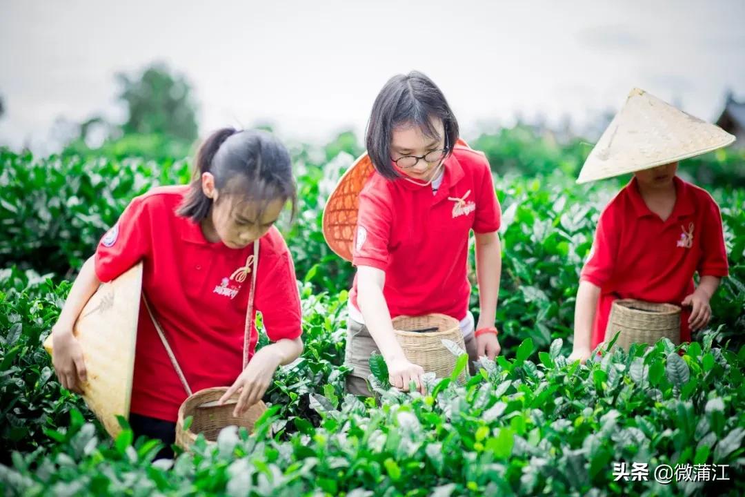 蒲江乡村风光,四川十大贫困县蒲江