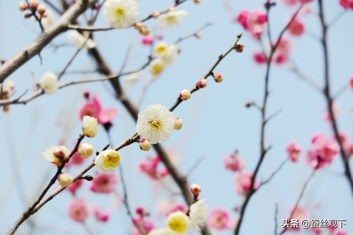百强县排名宜兴有超过江阴的吗,宜兴百强县区排名