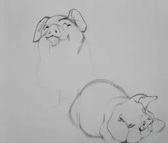 猪年国画：猪的绘画步骤