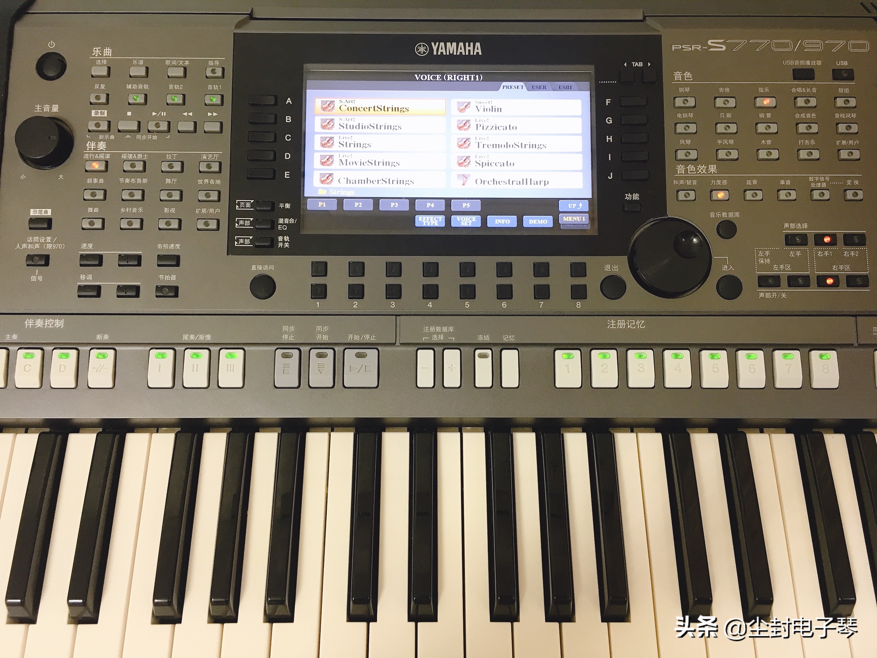 新手学电子琴怎么入门,初学者电子琴怎么玩