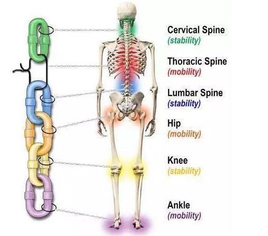改善颈椎肩痛的锻炼器械,针对腰椎颈椎功能性锻炼