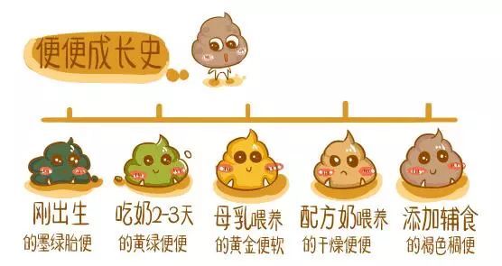 婴儿消化不好腹泻吃什么辅食好,宝宝消化不良腹泻可以吃哪些辅食