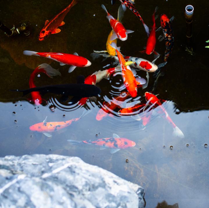 迁居风水有什么讲究,新居风水讲究