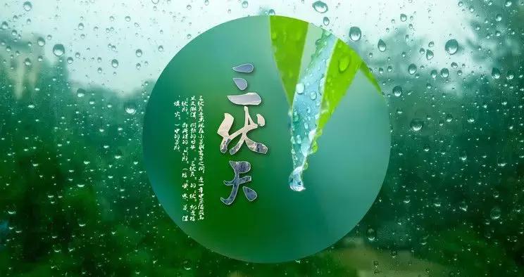 三伏天防病技巧,三伏养好背百病都消退