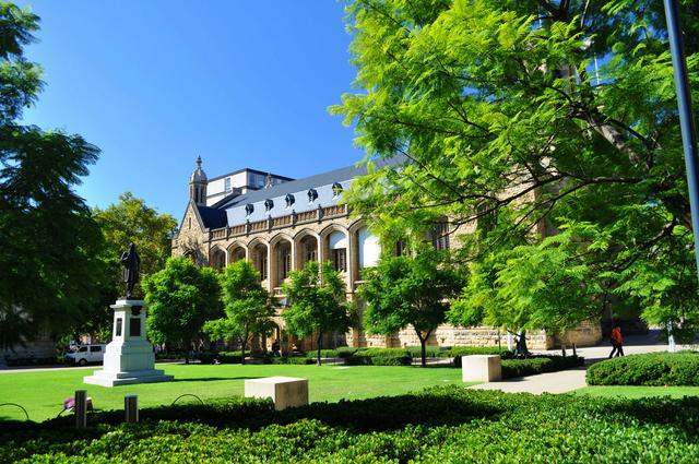 常青藤的危害,常青藤教育理念