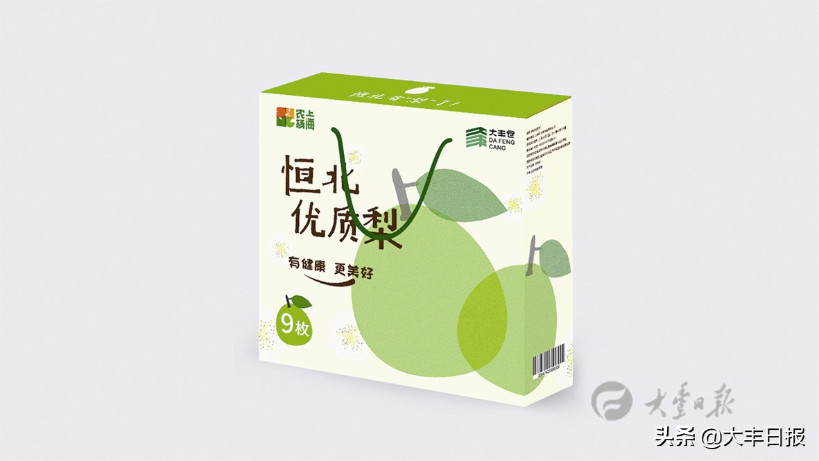 盐城射阳全面加速乡村振兴步伐,盐城聚焦乡村振兴