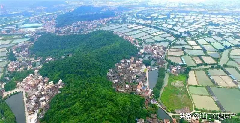 土豪村回迁户直喊：人生没后悔药吃