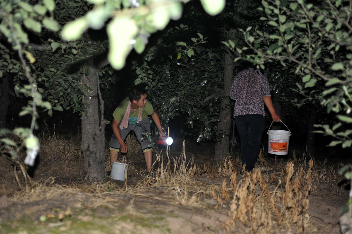 芜湖一男子鱼没钓到，却逮了一盆金蝉，网友：这玩意，吃不起