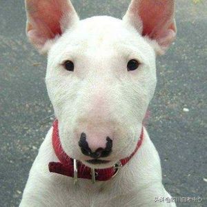 教学知识点如何记忆,如何记忆知识要点