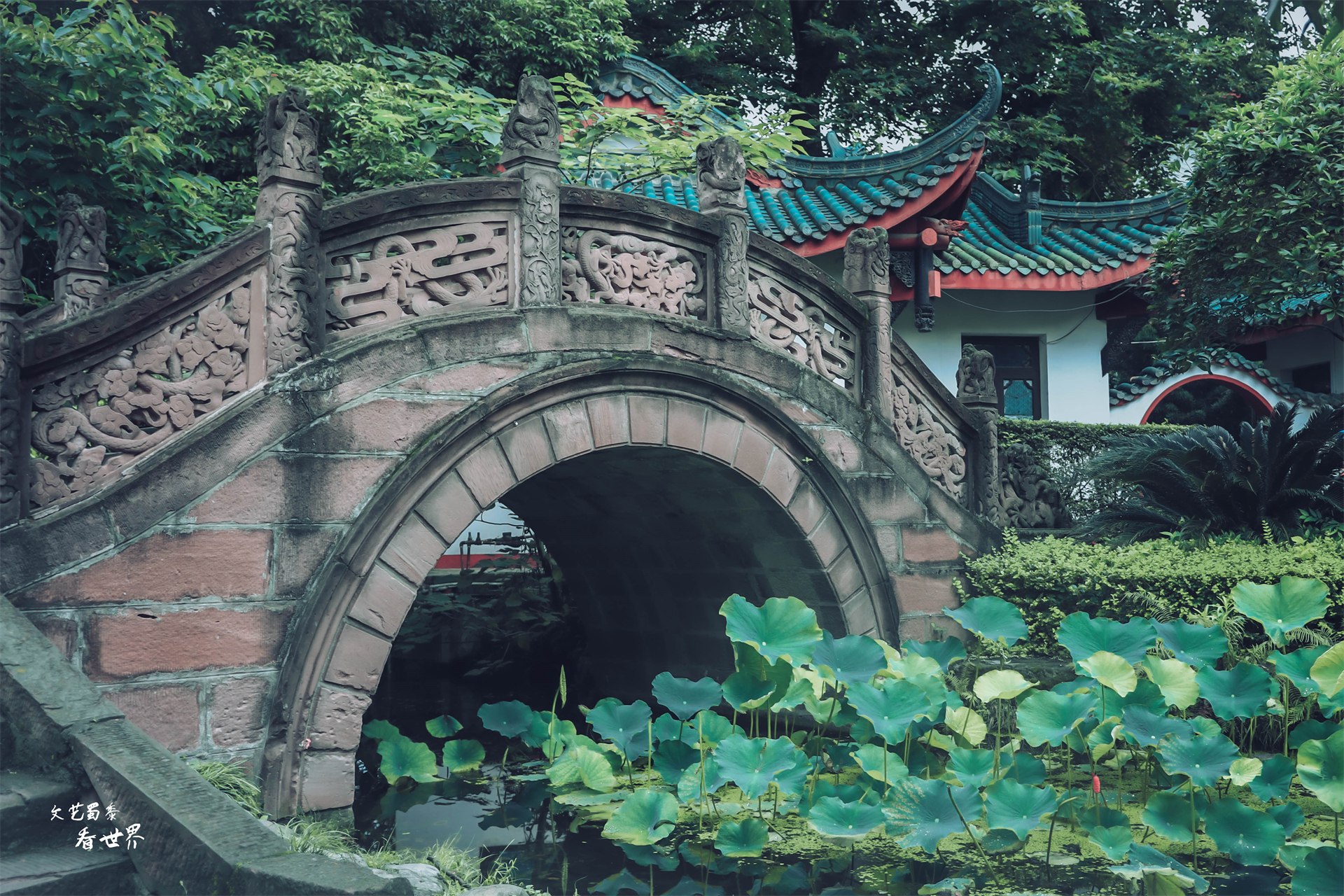 假期想去成都旅游怎么办,假期旅游去成都