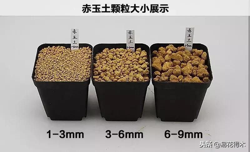 野山楂下山桩用什么土壤好,下山桩保湿成活技术