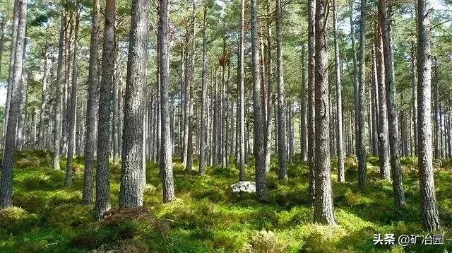 学地质必须学地理吗,学地质真的有宝石吗
