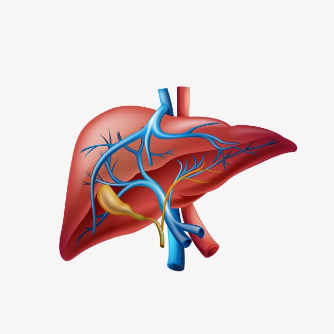 达格列净为什么是霸道的降糖药,达格列净和恩格列净哪个降糖更好