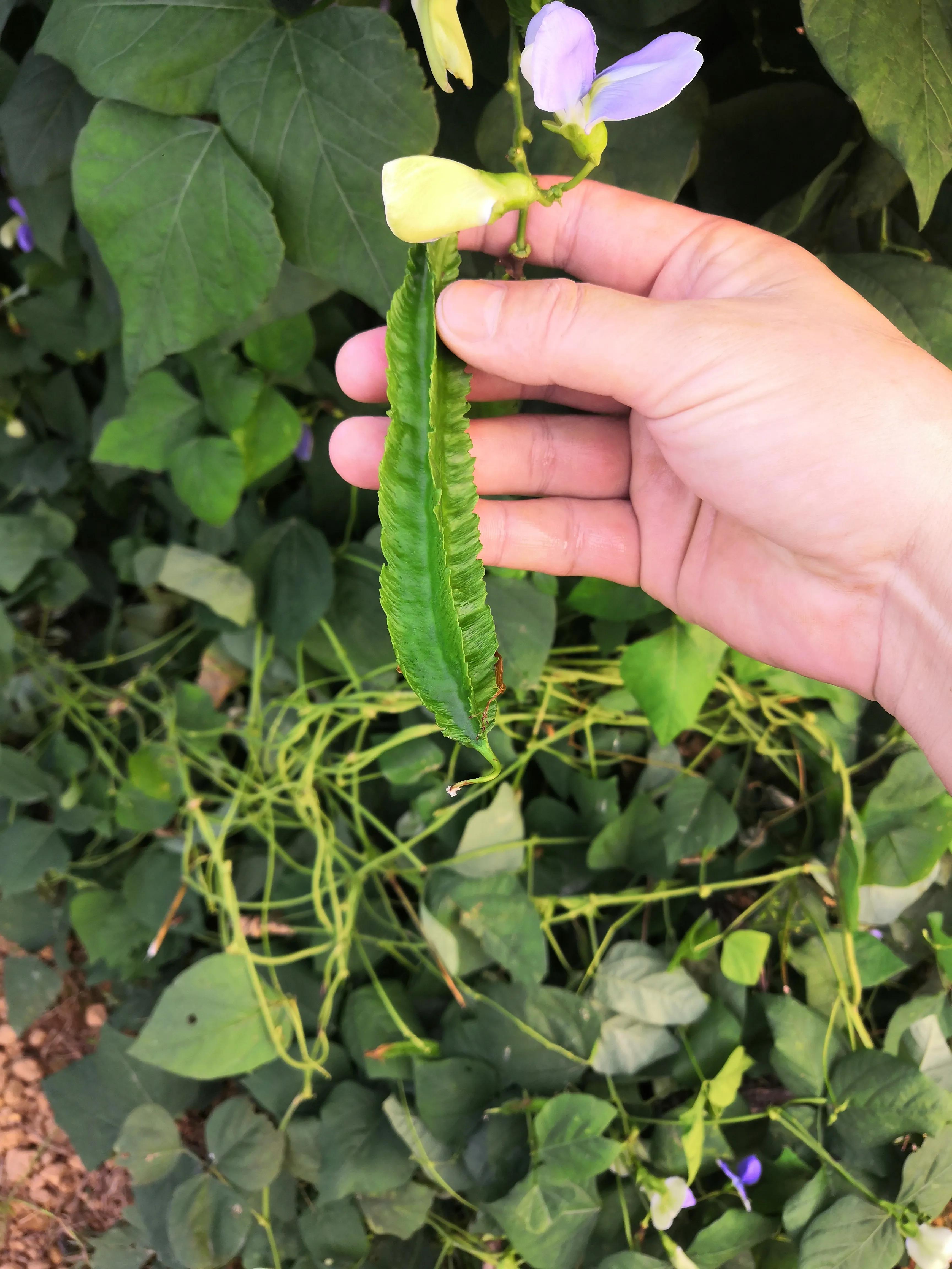 一个父亲的无奈,一个父亲的无助视频