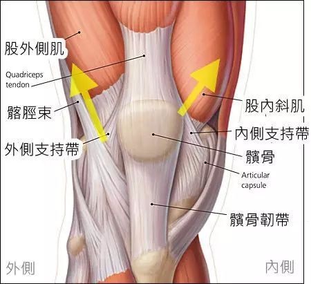 下蹲时膝关节疼痛可能是什么原因,膝关节下蹲到底时疼