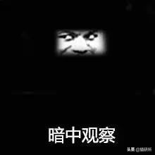 选猫砂防臭,天然矿石猫砂推荐测评