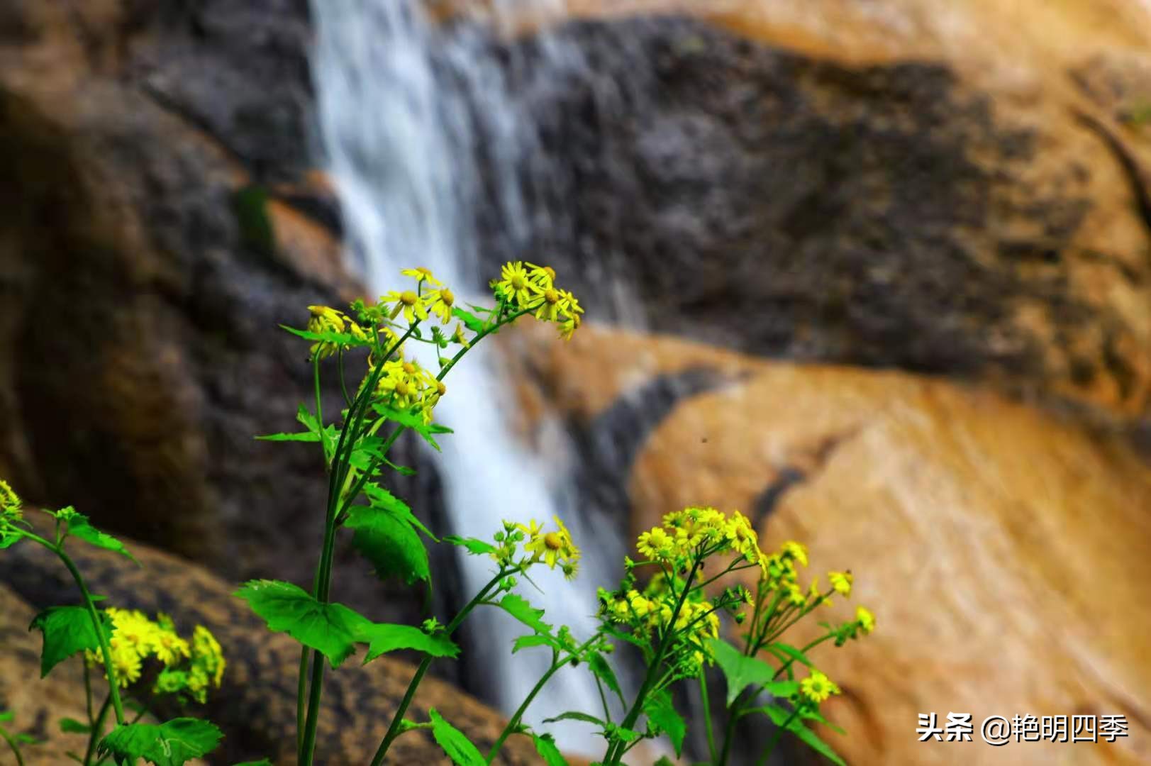 河南平顶山画眉谷——画眉声声谷愈静,流水淙淙山更幽